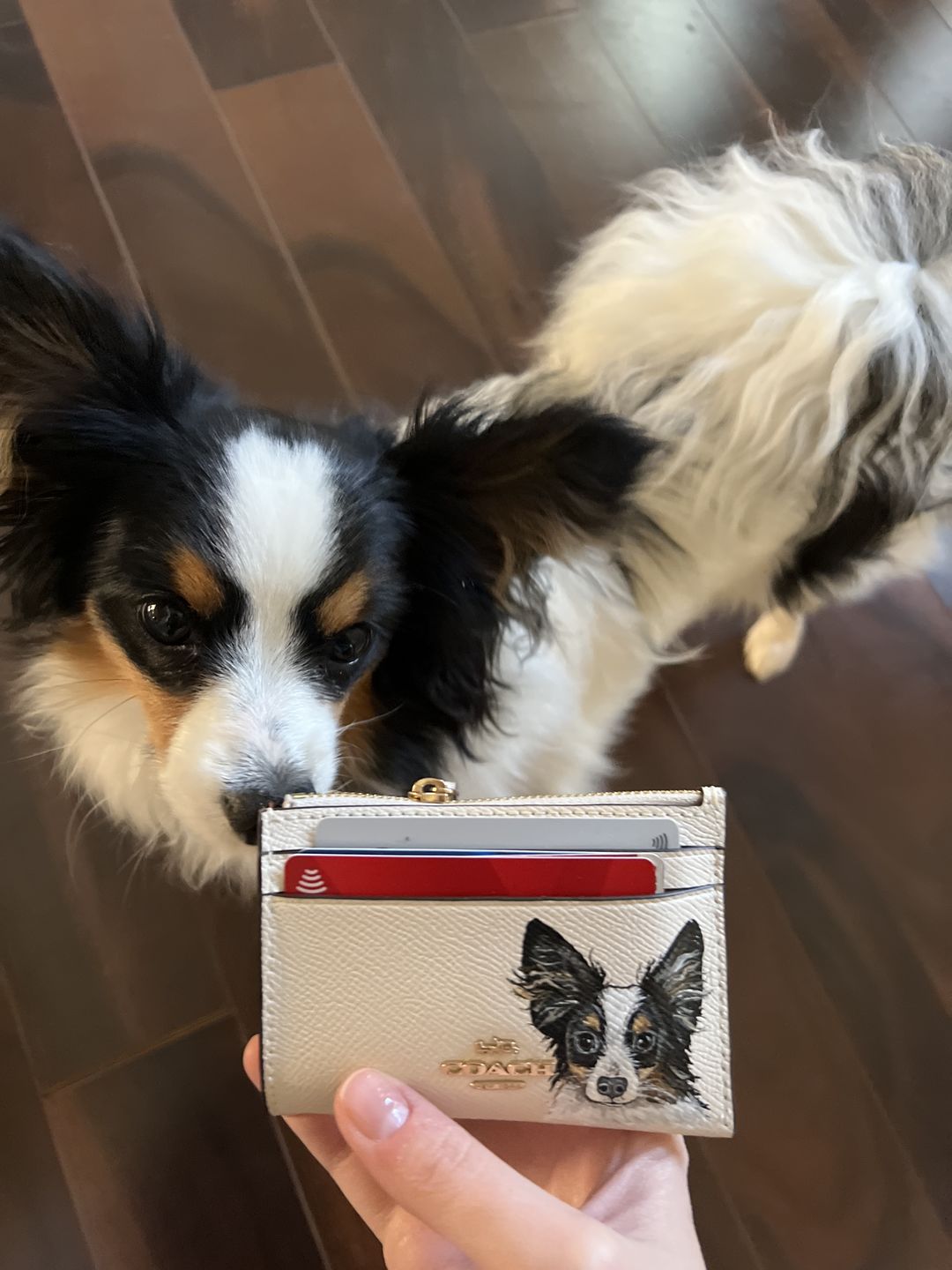 Coach Mini Skinny Card Wallet with Custom Pet Portrait